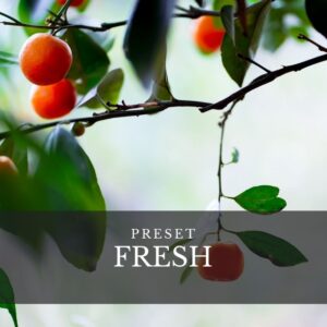 Okładka produktu Preset Fresh zielone liście i mandarynki